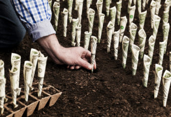 Farmer planting money