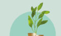 Nuveen Green Capital funds first New Hampshire C-PACE loan