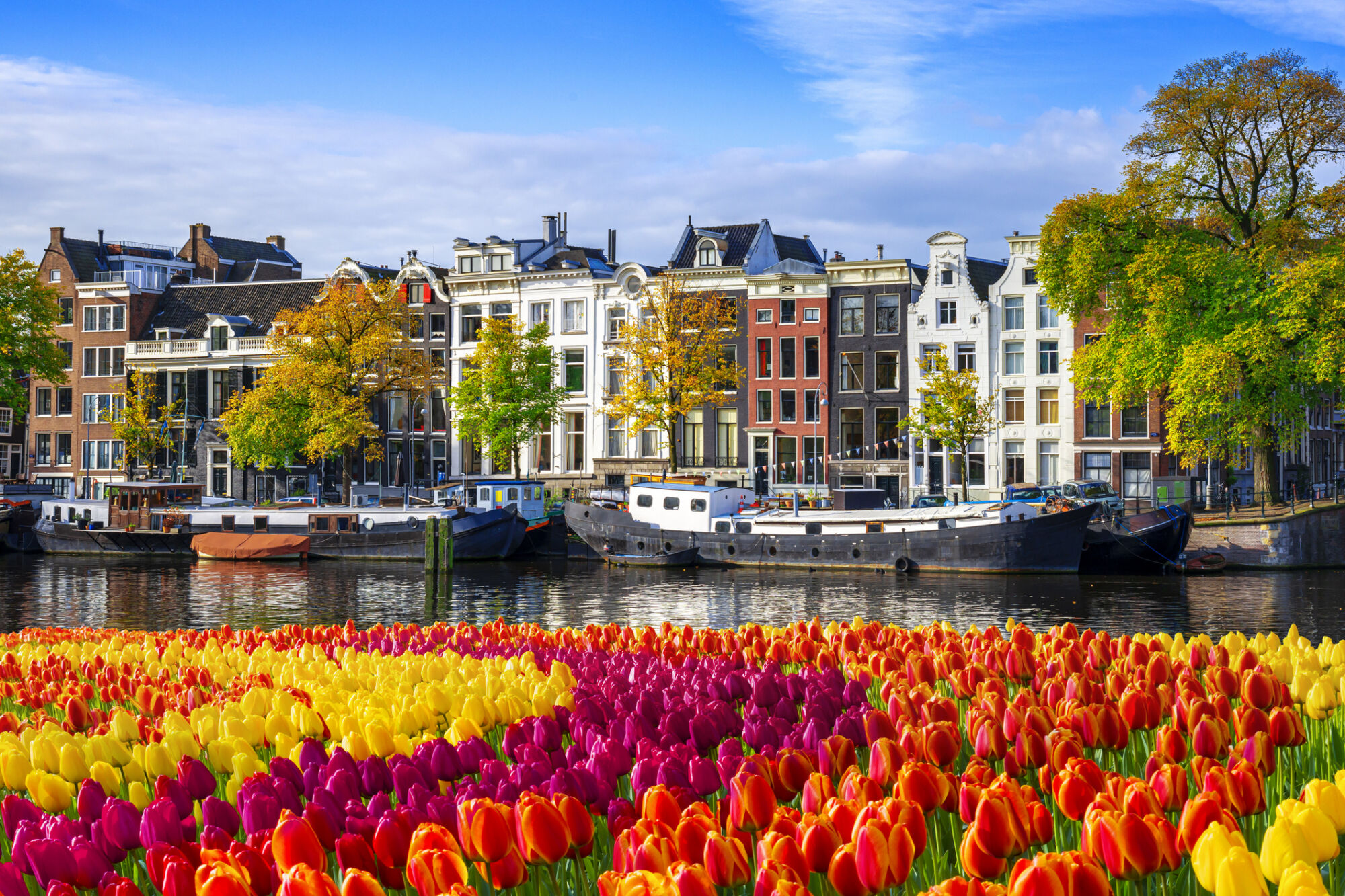 Aviva refinances Time Equities' Dutch offices with €168m loan