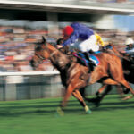 An action shot of a group of jockeys riding horses in a horserace