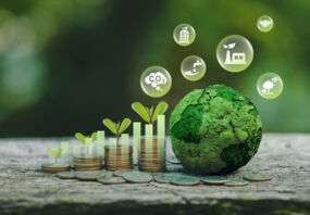 green money and planet